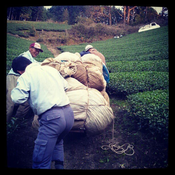 #0087.K6 Azuma Tea Garden: All-Purpose Matcha (Premium Culinary Grade) オールパーポス抹茶 - Image 5