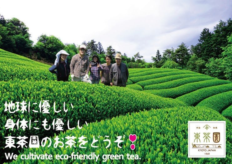 #0113.K6 Samidori no Ka - Samidori Cultivar Matcha, Naturally Grown by Azuma Tea Garden, Standard Ceremonial Grade Matcha 早緑の馨 - Image 6