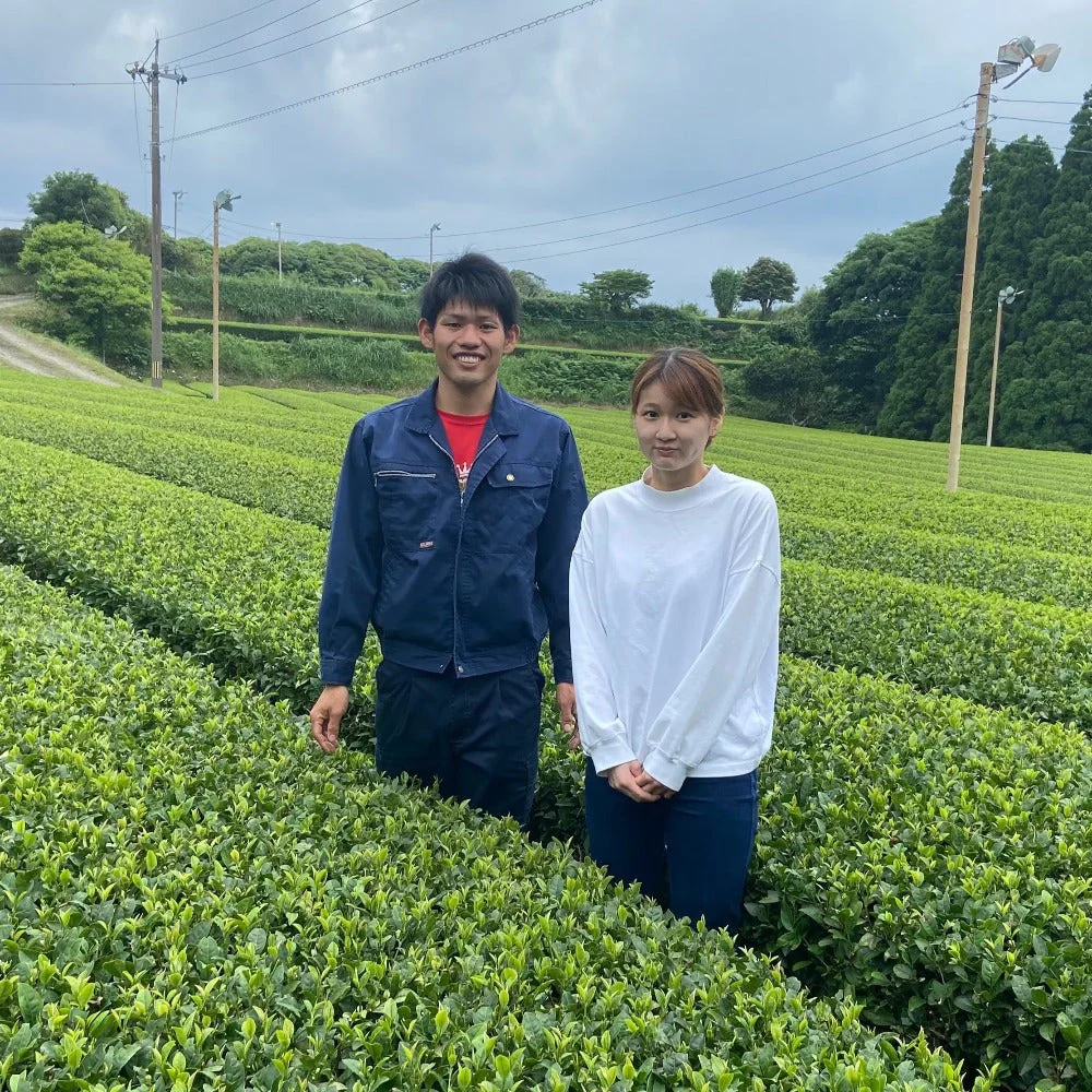 #0333.K2 Iba Yu Tea Garden: Tanegashima Single Cultivar Sencha - Shuntaro (micro batch, limited) - Image 2