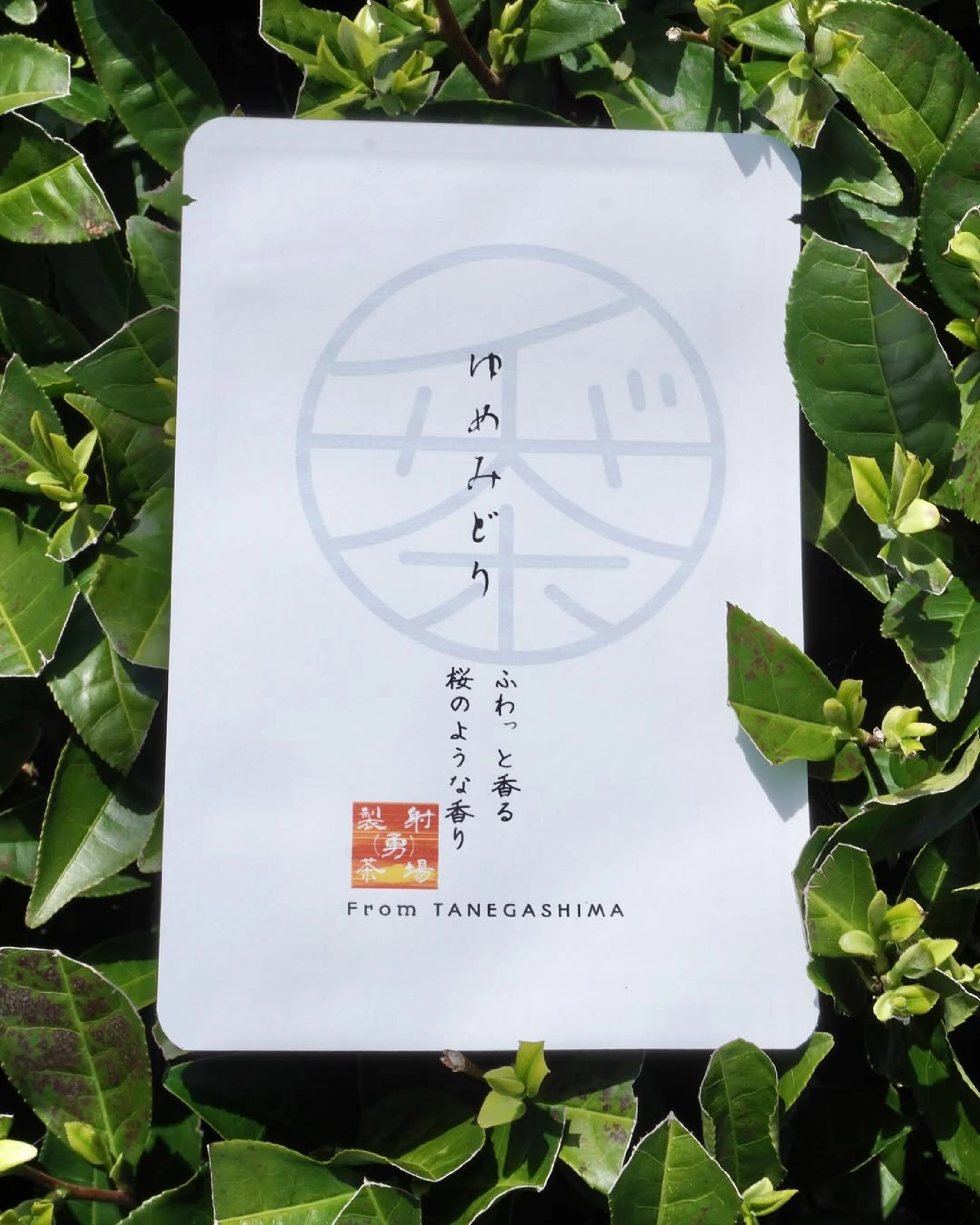 #0328.K2 Iba Yu Tea Garden: SOLD OUT 2025 Tanegashima Single Cultivar Sencha - Yume Midori (micro batch, limited) - Image 6