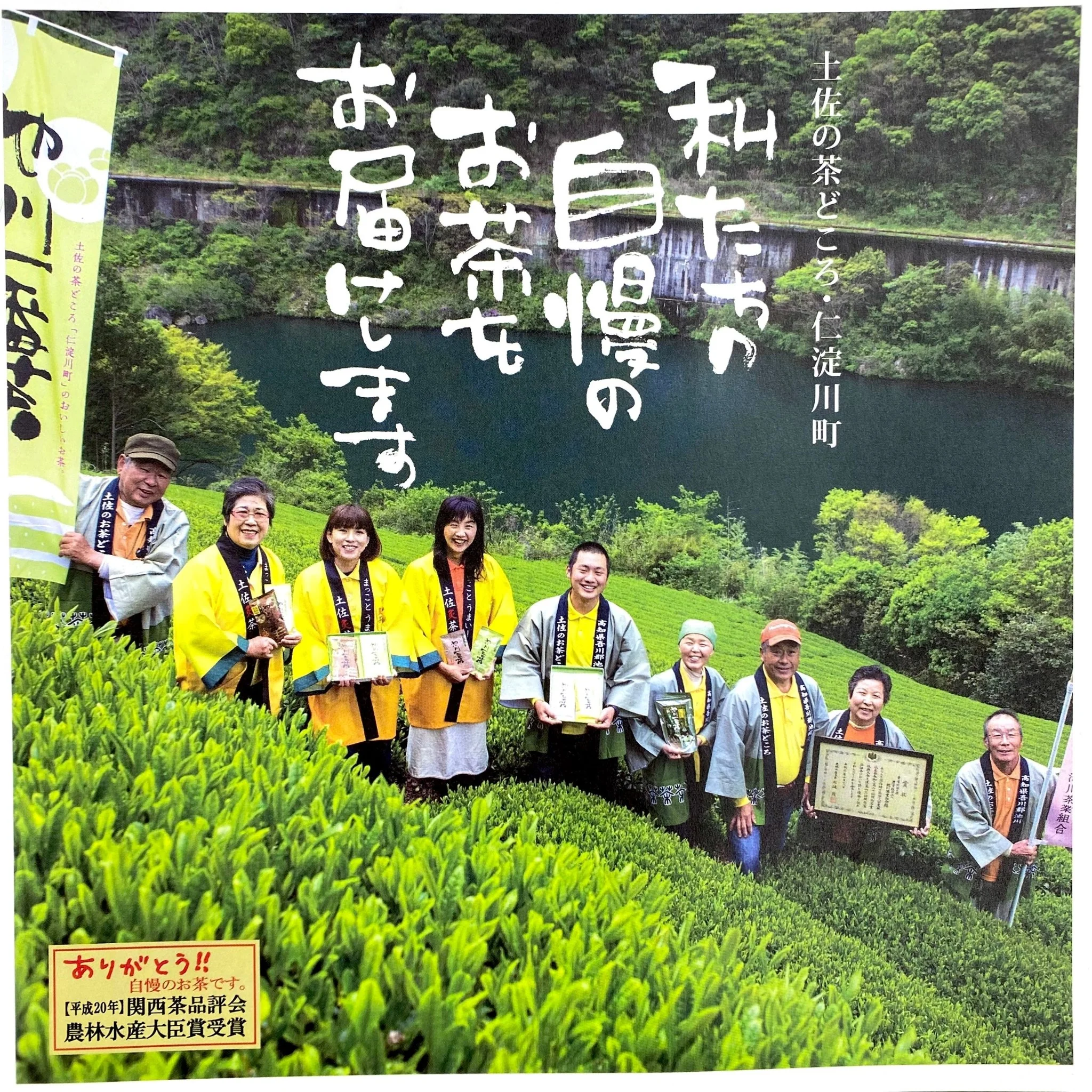 #0857.K4 Ikegawa Tea Farm Coop: First Flush Kochi Sencha, Kiri no Kiwami 池川一番茶[霧の極] - Image 2