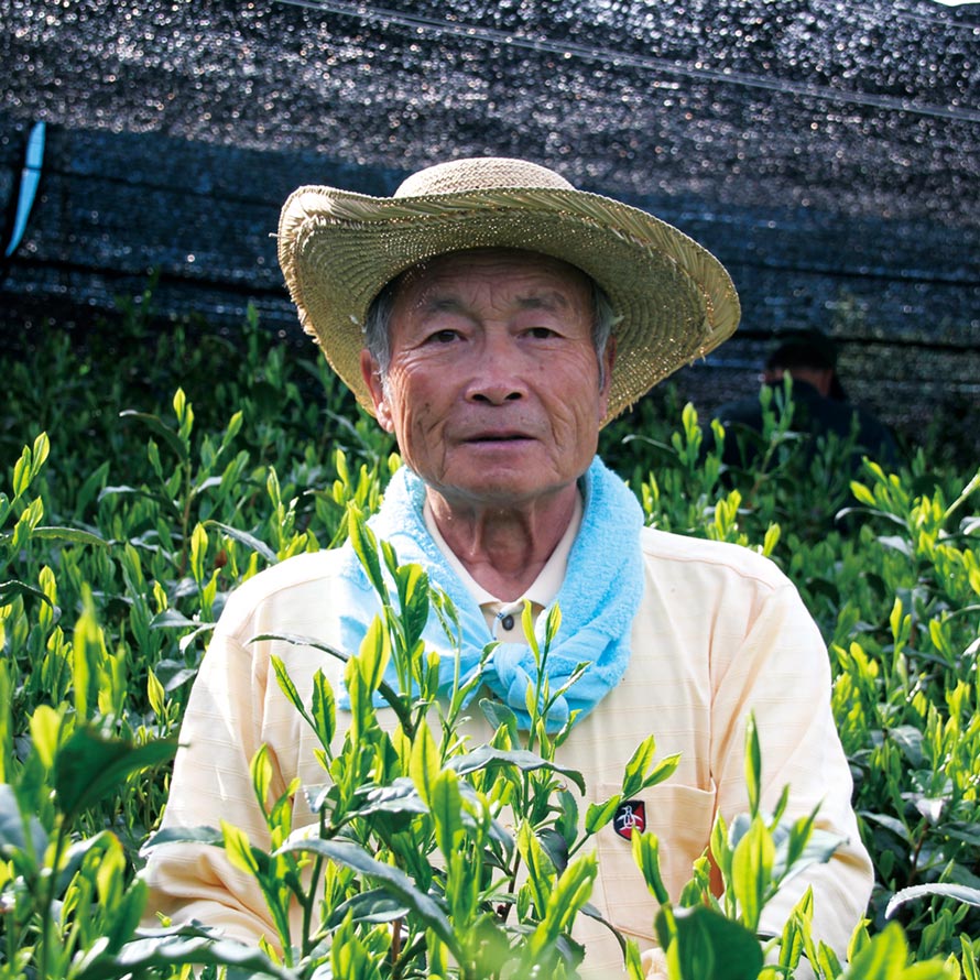 #0404.S5 Kaneta Ota Tea Garden: Ultra micro batch Sencha, Single Cultivar Yume Suruga - Image 4