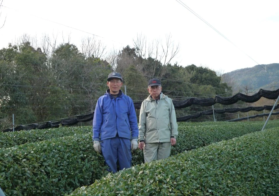 NOT AVAILABLE //#0611.K6 Tea Farmer Shinichi Kihara: Naturally Grown Kyoto Kabusecha (Single Cultivar Gokou) 自然栽培かぶせ茶ごこう - Image 2