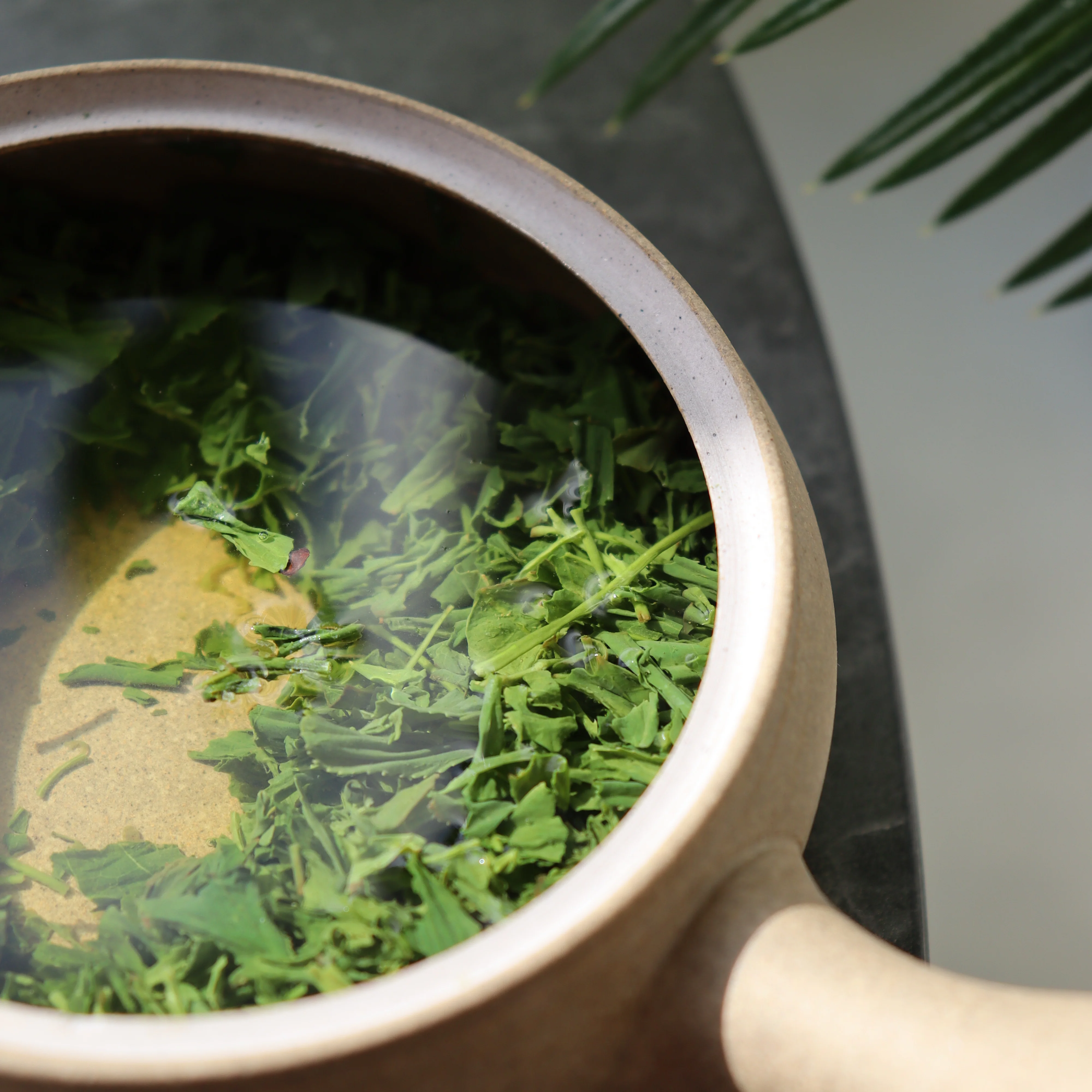 #0424.K2 Koukien Tea Garden: Asamushi Kabusecha - Kawaguchi Sisters' Kirishimacha Refreshing Moment - Superior ホッと一息 - Image 3
