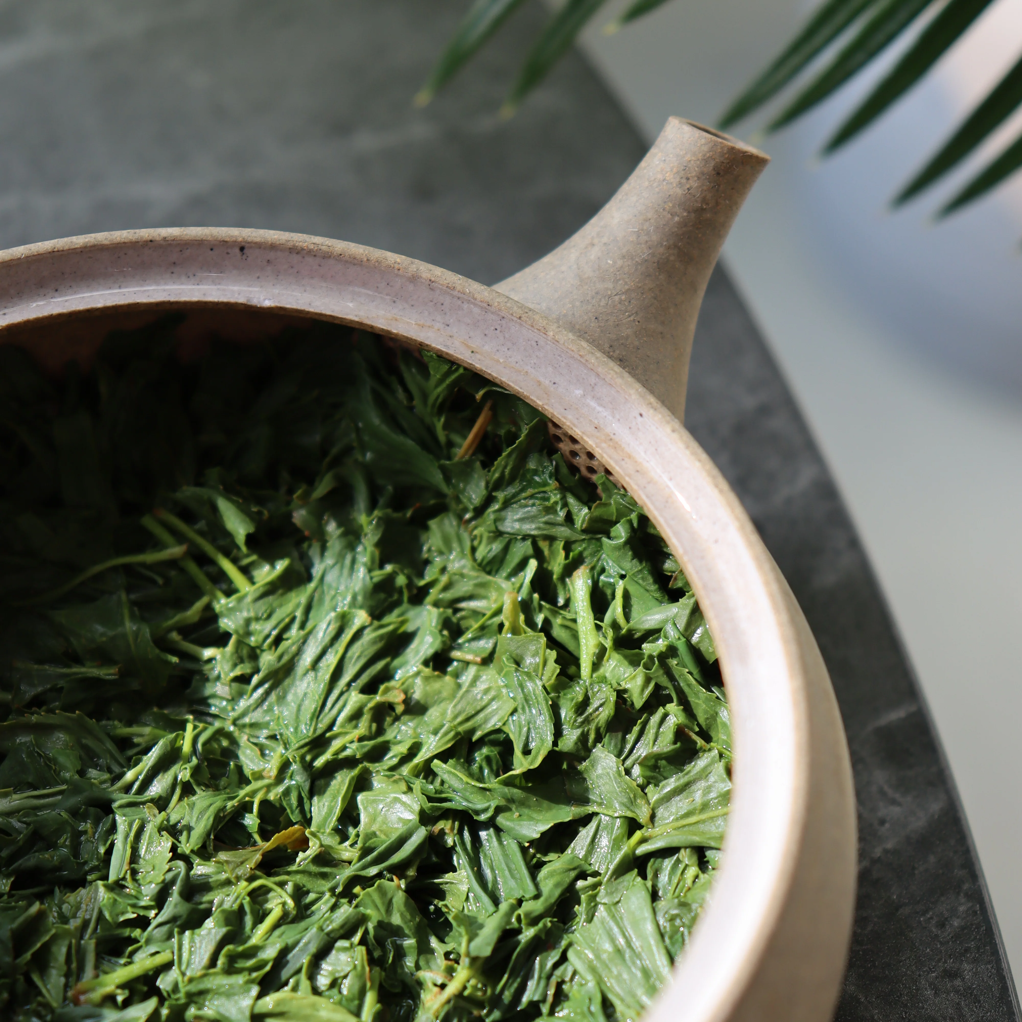 #0424.K2 Koukien Tea Garden: Asamushi Kabusecha - Kawaguchi Sisters' Kirishimacha Refreshing Moment - Superior ホッと一息 - Image 4