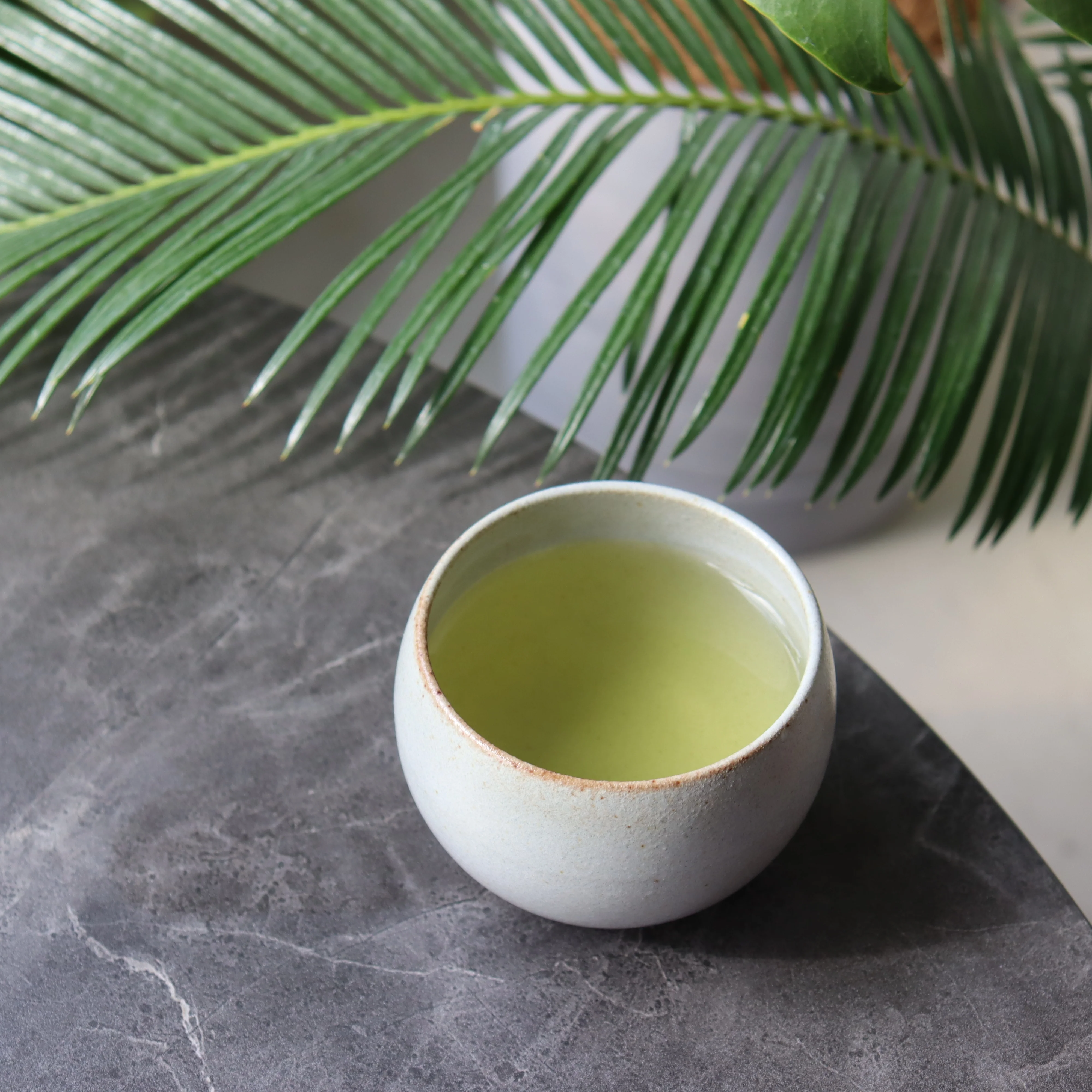 #0422.K2 Koukien Tea Garden: Asamushi Kabusecha - Kawaguchi Sisters' Kirishimacha Refreshing Moment - Premium ホッと一息