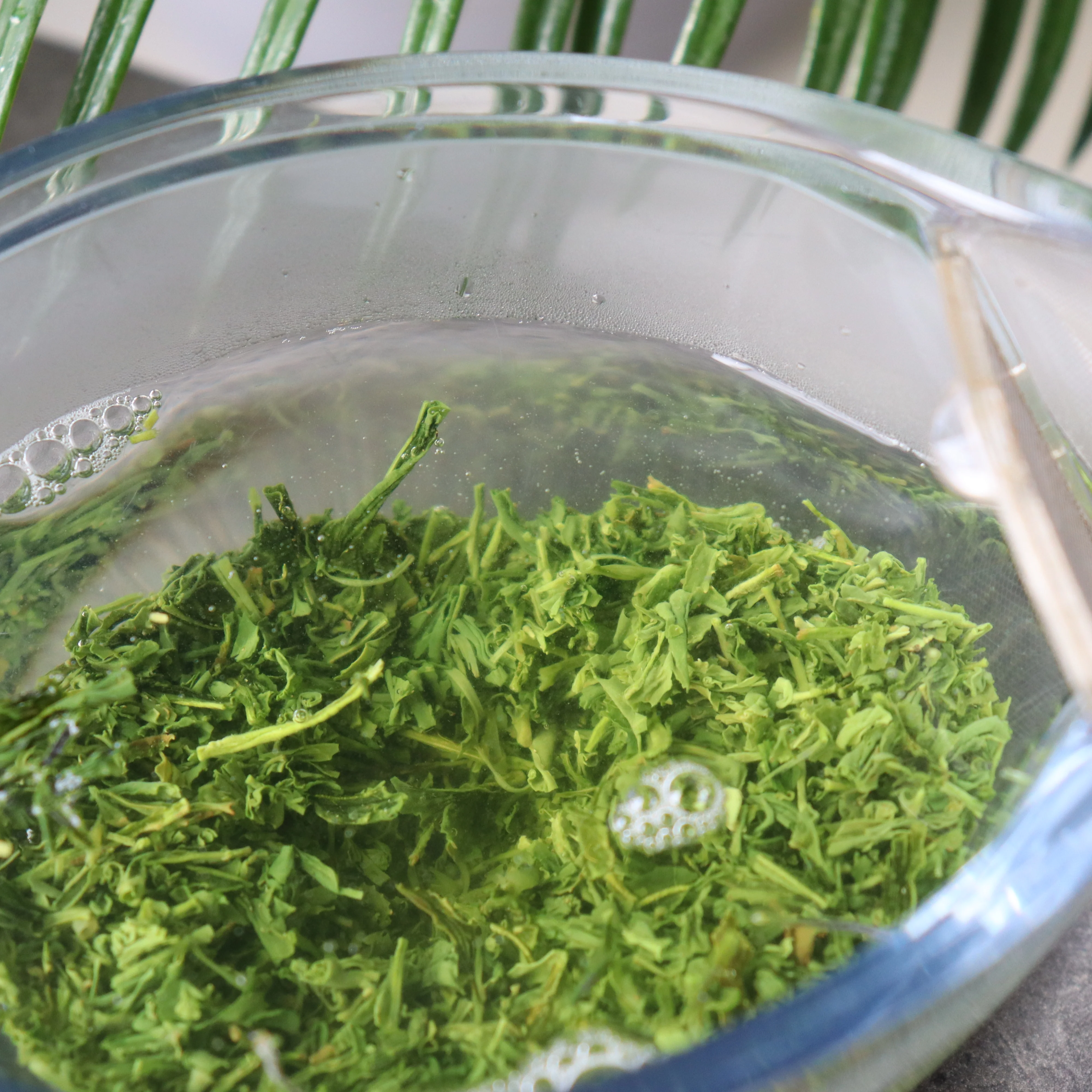 #0422.K2 Koukien Tea Garden: Asamushi Kabusecha - Kawaguchi Sisters' Kirishimacha Refreshing Moment - Premium ホッと一息 - Image 5