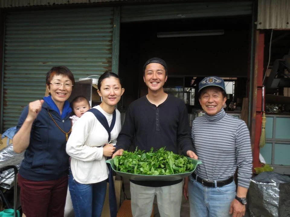 #0682.K5 Tomizawa Tea Garden: Kabusecha Saemidori Kumamoto Guricha "Green Tea.Lab" かぶせ茶 冴え緑 (JAS Organic) - Image 4