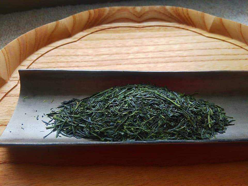 #0434.F2 Kuma Tea Garden FK031: Saemidori Imperial Mountain-Grown Yame Sencha 奥八女上陽茶さえみどり - Image 2