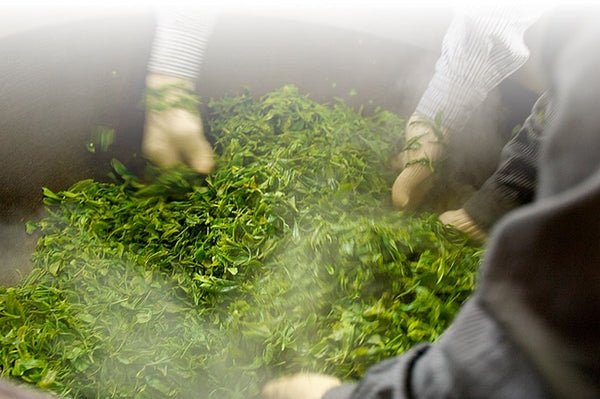 (1 can x 10g left) #0448.K4 Kunitomo: Riguricha Ryu - The Mountain Dragon - Handpicked, Wild Kamairicha りぐり茶 龍 (LIMITED STOCK) - Image 3