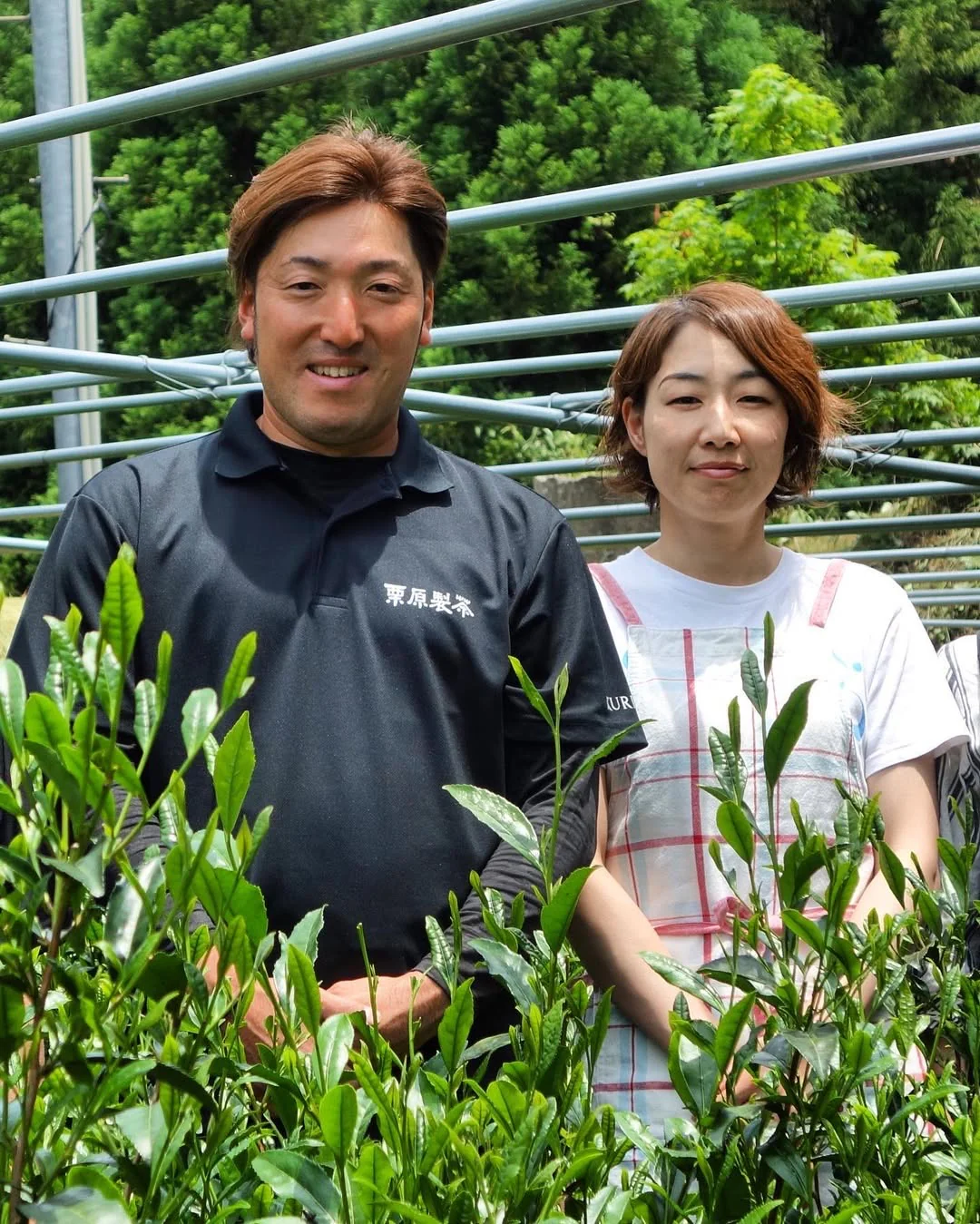 #0067.F2 Kurihara Tea: Shin 心 (Heart) - Premium Gyokuro Green Tea - Naturally Grown - Image 3