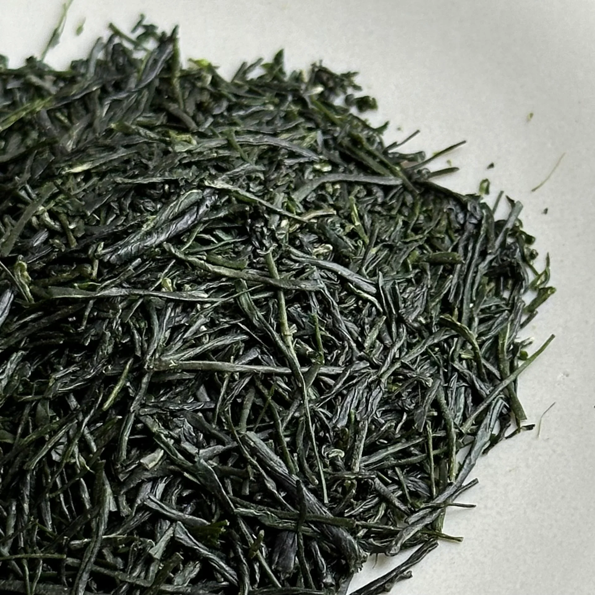 #0824.K6 Nakata Tea Garden: Kabusecha - Saemidori - National Tea Competition 2024 - 2nd Place Award Winning Micro Batch - Image 4