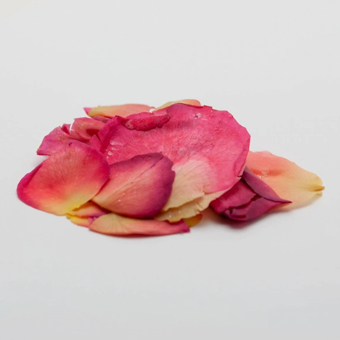 #0554.S4 Okuizumo Rose Garden: Rose Petal Herbal Tea (Apple Rose Cultivar)