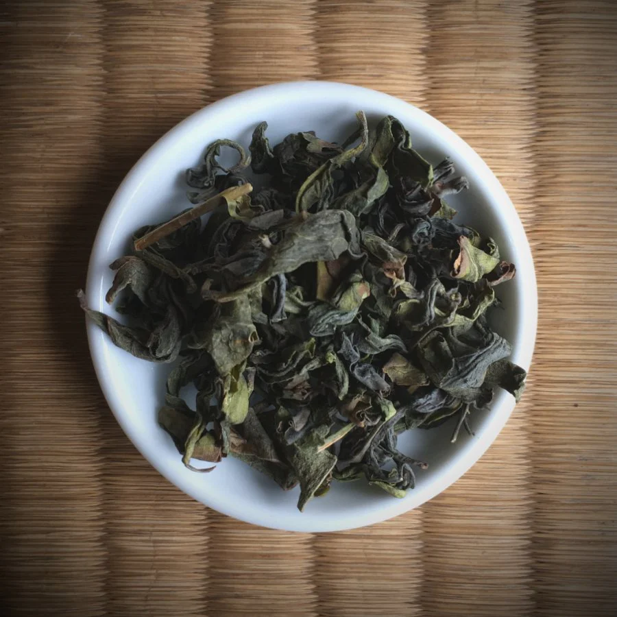 #0495.M3 Miyazaki Sabou MY15: Naturally Grown Oolong Tea - Saemidori Single Cultivar