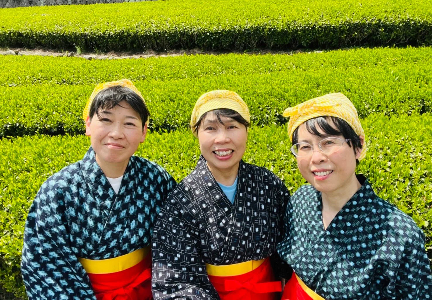 #0167.S5 Kiyosawa Tea Gardens: Shizuoka Spring Asamushi Sencha Blend by Farmer Sugiyama Yachiyo - Image 10