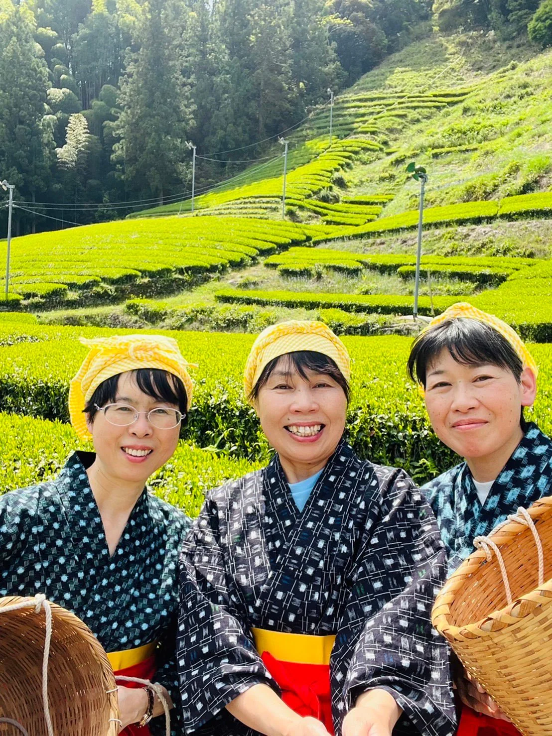 #0168.S5 Kiyosawa Tea Gardens: Shizuoka Spring Asamushi Sencha by Konagai Chizuko - Image 9