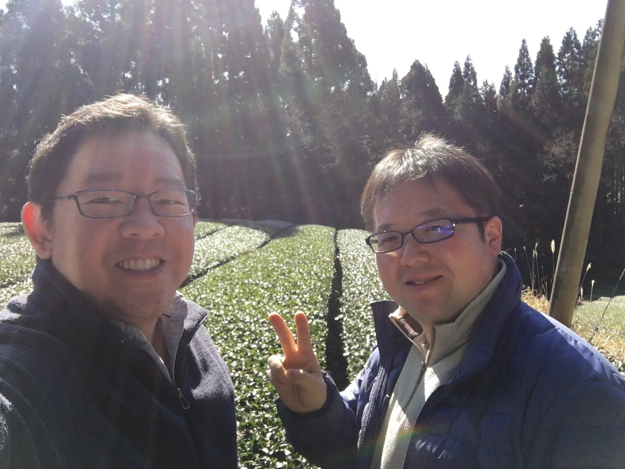 Yunomi.Services: Tea Business Consultations - Image 3