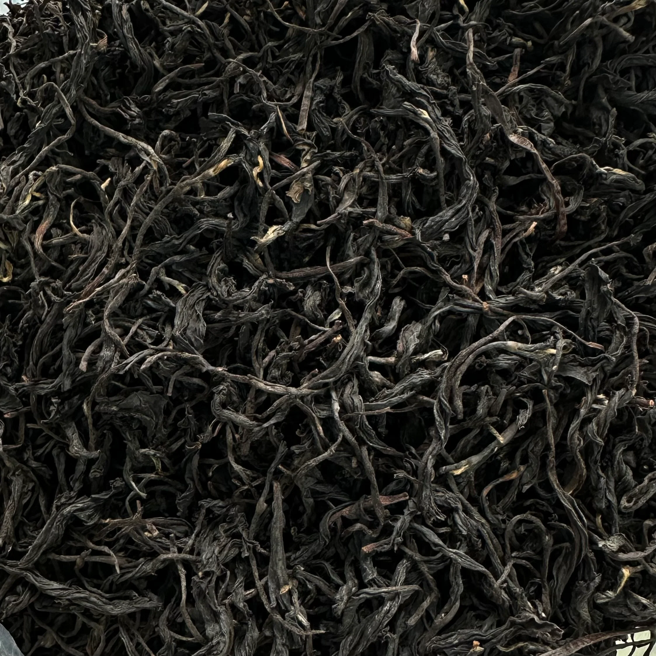 Studio Lesson - Tea Professional or Connoisseur Level - Personalized Deep Dive Into Japanese Tea - Image 5