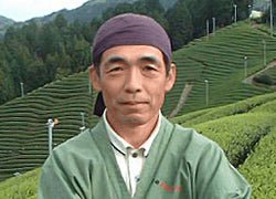 #0706.K6 Uejima Tea Farm: Wazuka Sencha Premium (Okumidori/Tsuyuhikari) 特上煎茶 - Image 6