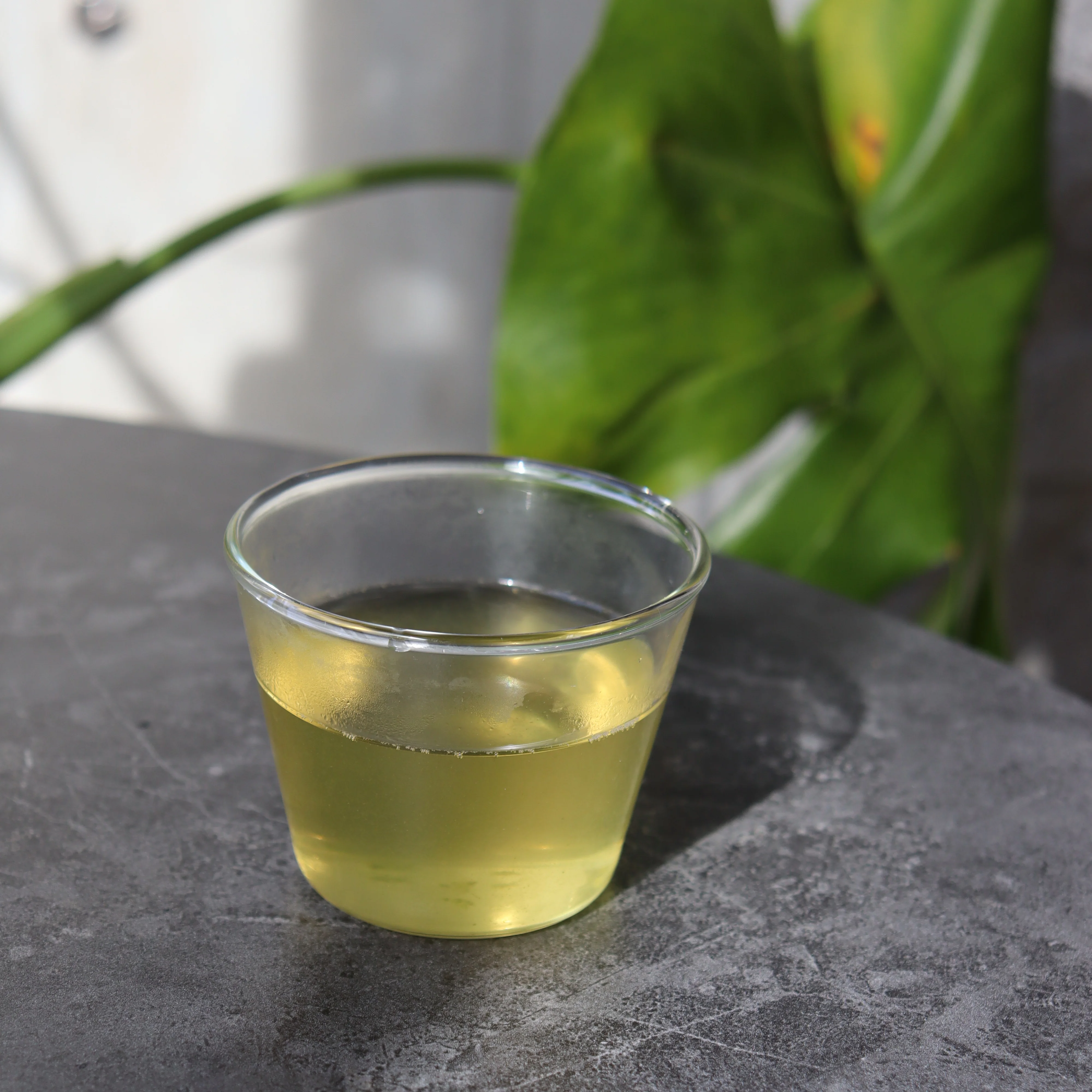 (while stock last) #0701.K6 Uejima Tea Farm: Single Cultivar Samidori Sencha (Superior) from Wazuka, Kyoto - Image 3