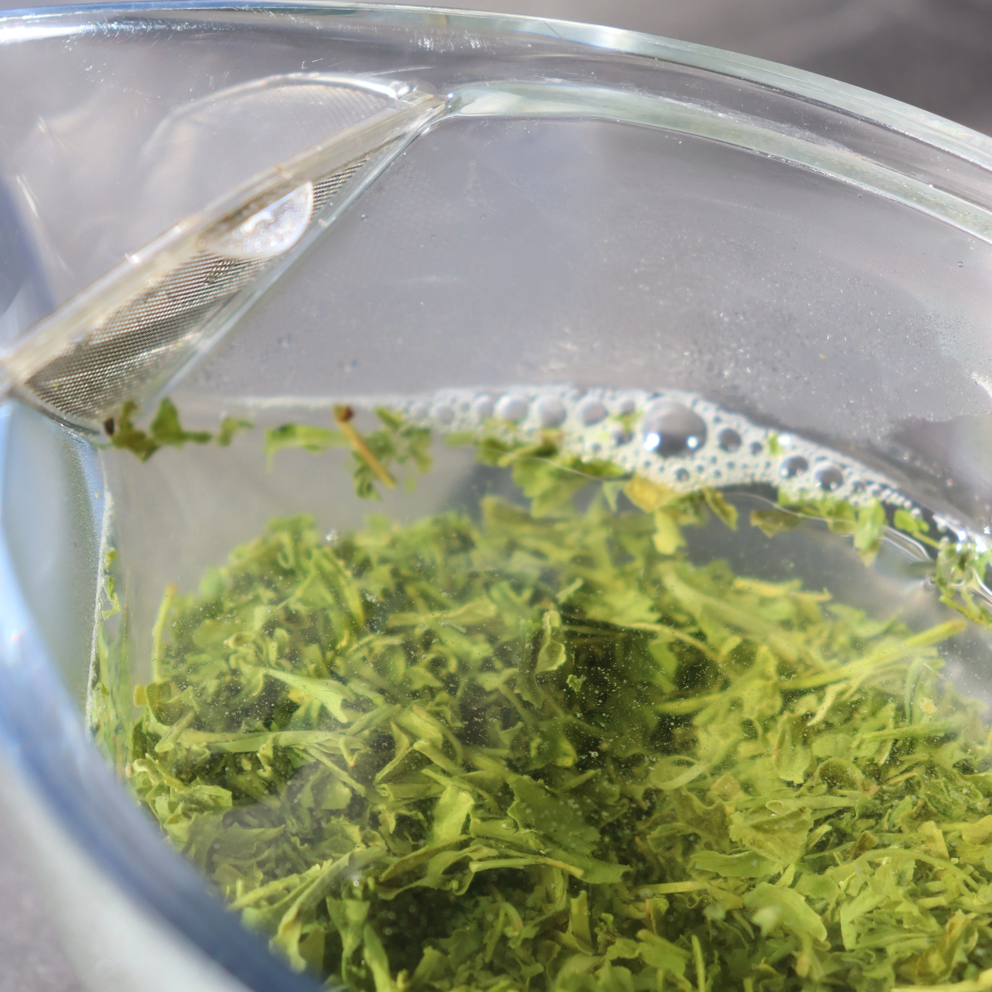 (while stock last) #0701.K6 Uejima Tea Farm: Single Cultivar Samidori Sencha (Superior) from Wazuka, Kyoto - Image 4