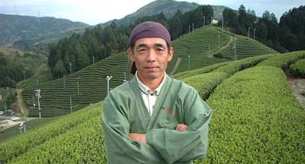 #0697.K6 Uejima Tea Farm: Single Cultivar Saeakari Sencha from Wazuka, Kyoto - Image 8