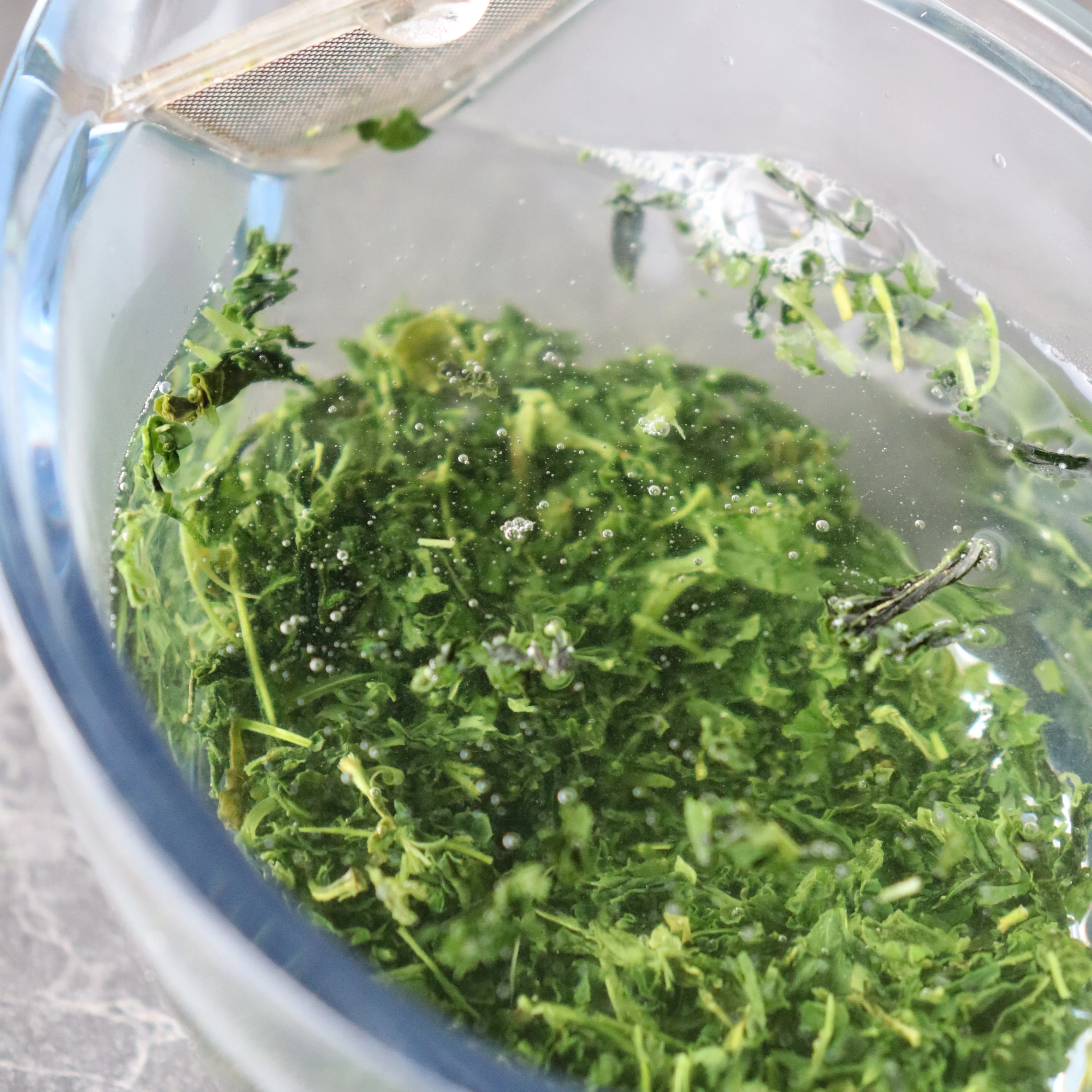2025 #0700.K6 Uejima Tea Farm: Single Cultivar Yabukita Sencha from Wazuka, Kyoto - Image 4