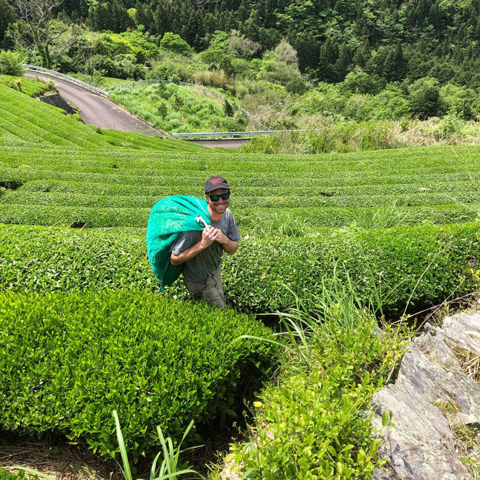 #0715.T2 Yancha: Premium Yabukita Sencha from Aruse Village, Tokushima - Image 10
